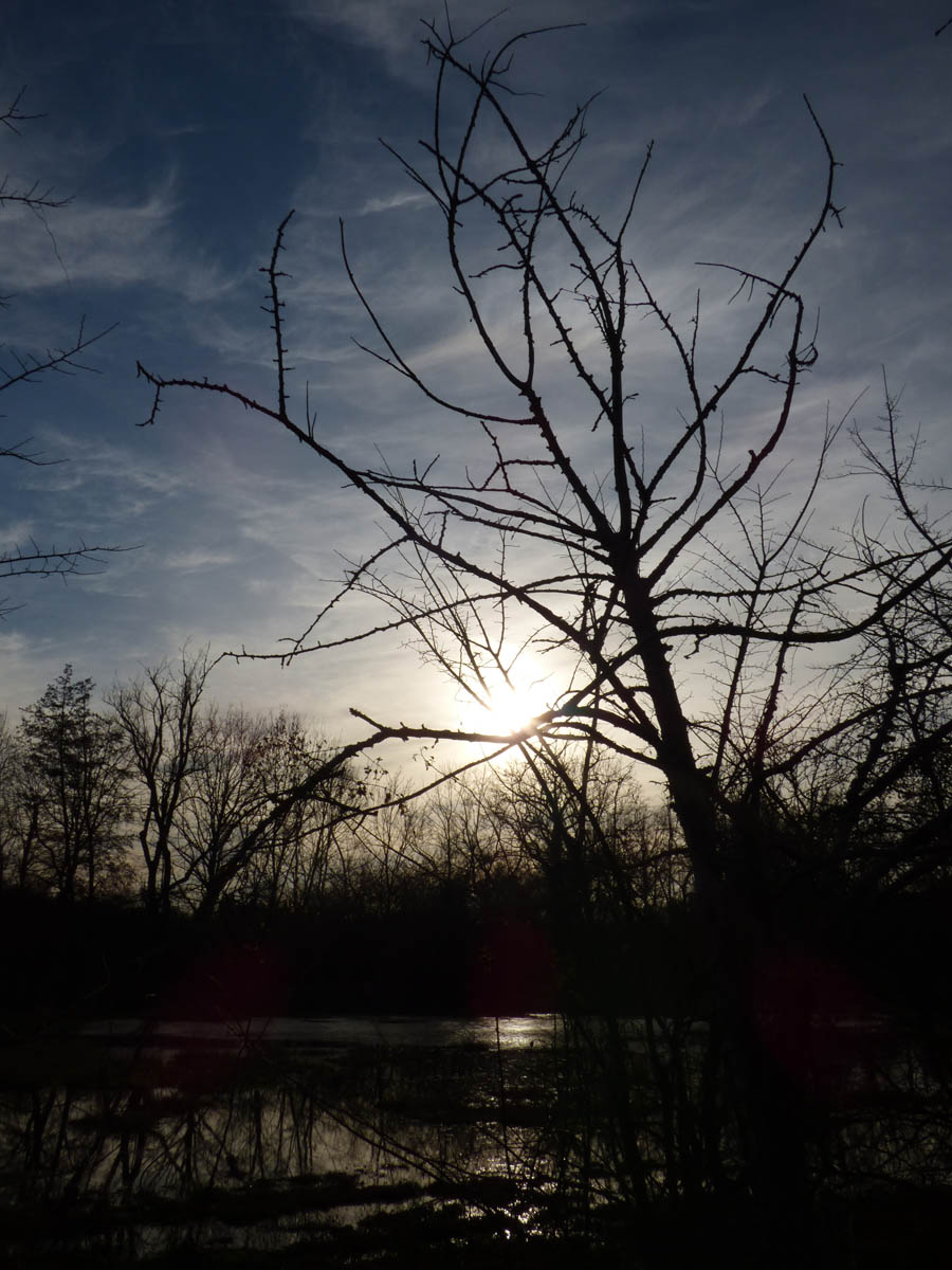 Soleil comme de Nuit